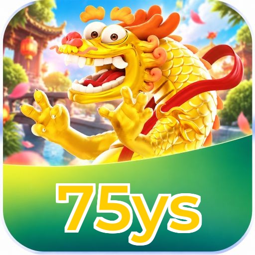 75ys Interface